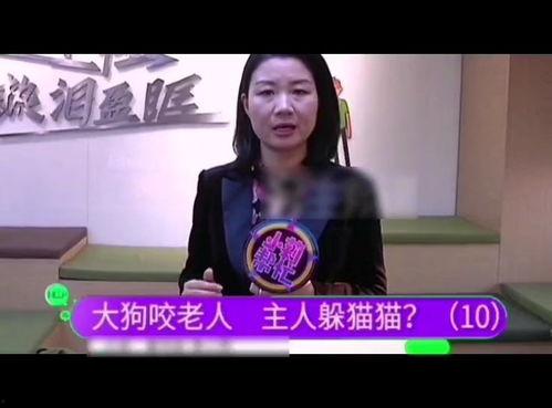 小莉帮忙在线观看,便捷生活新体验